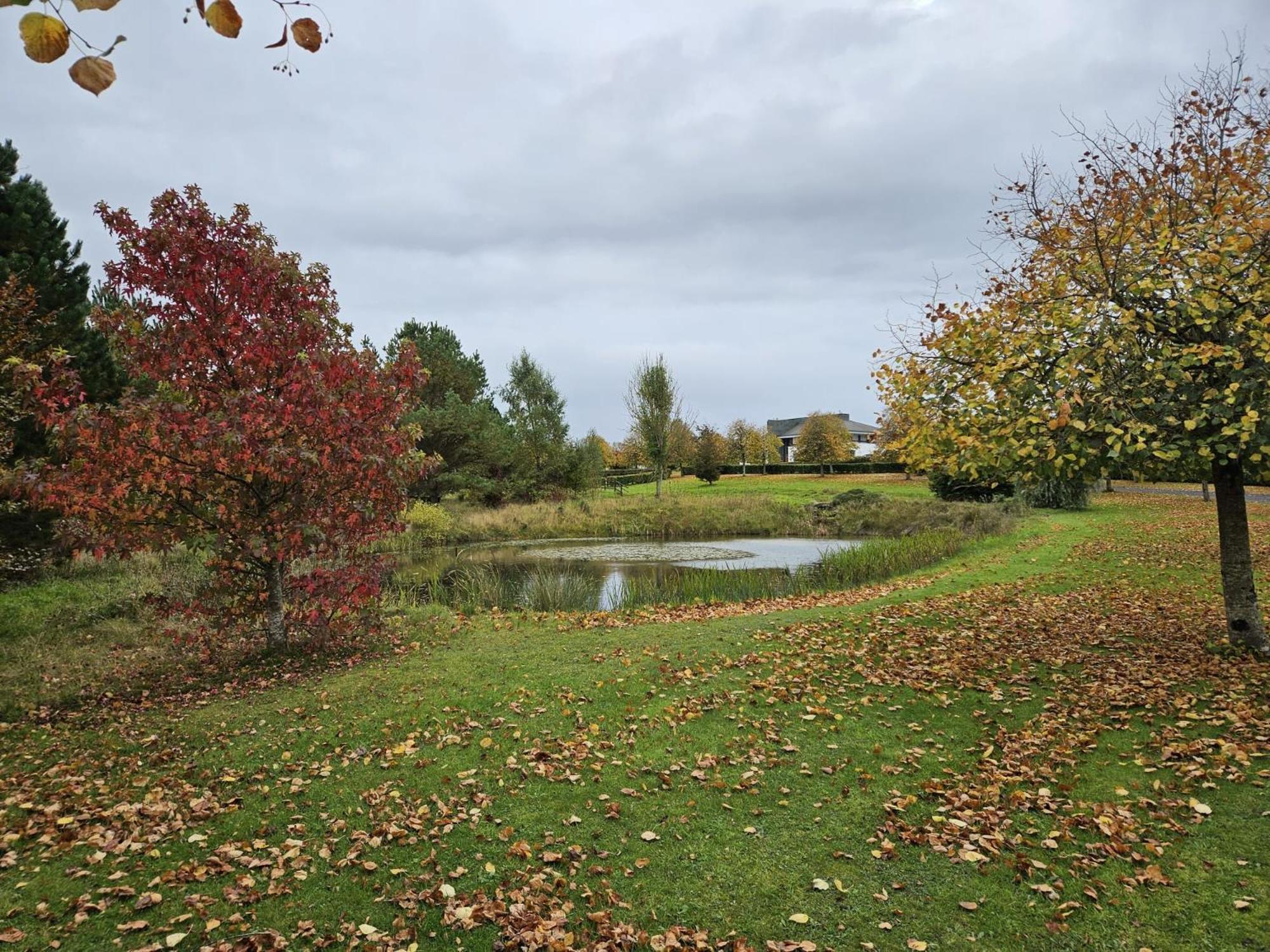 أدير Hazelwood Country House المظهر الخارجي الصورة